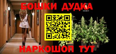 apvp Кандалакша