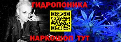 apvp Кандалакша