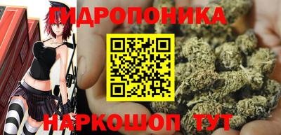 амф Канаш